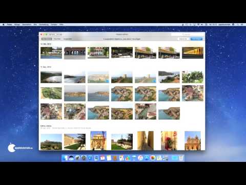 Fotos für macOS - Alben und Ordner anlegen und verwalten