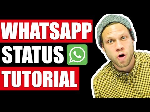 🚀 WhatsApp Status - Tutorial 🚀 | #FragDenDan