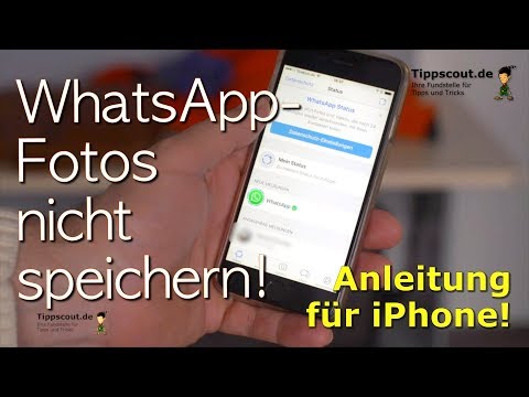 Whatsapp Bilder nicht speichern